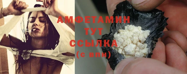 индика Верея