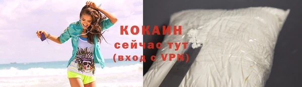 индика Верея