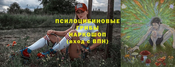 индика Верея