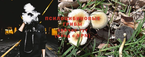 крисы Бугульма