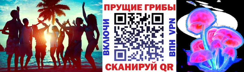 Псилоцибиновые грибы мухоморы  где купить наркоту  Нефтеюганск 